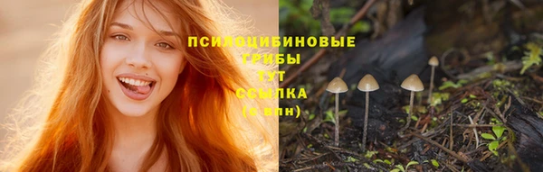 стафф Абдулино