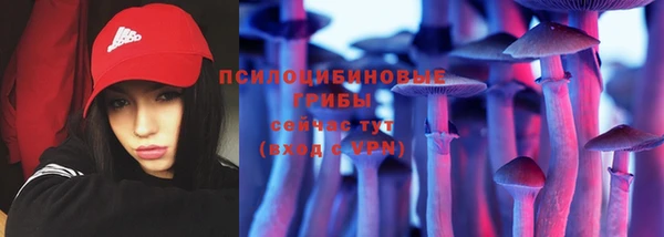 сатива Алексеевка