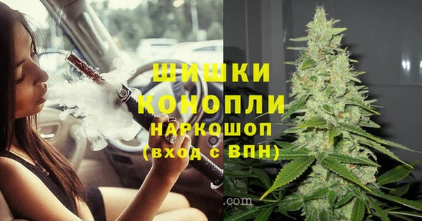 сатива Алексеевка