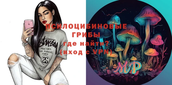дмт Алзамай