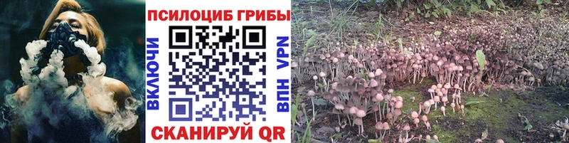 Галлюциногенные грибы мухоморы  Иркутск 