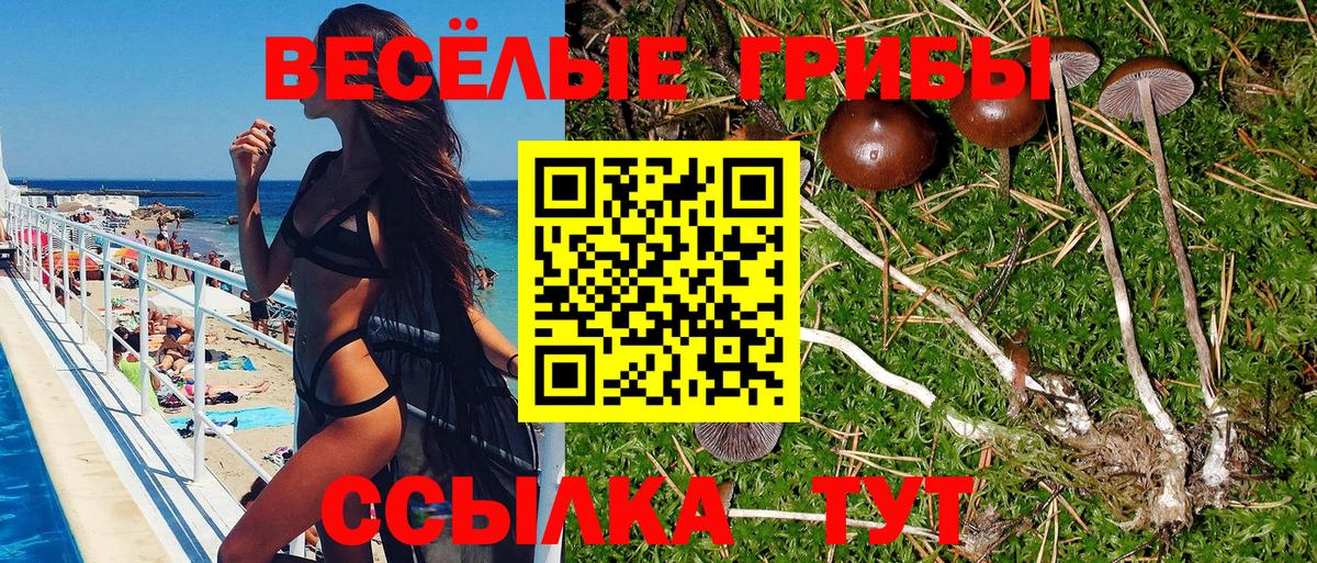 Галлюциногенные грибы прущие грибы Иркутск